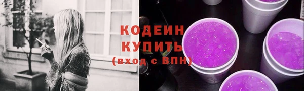 индика Верея